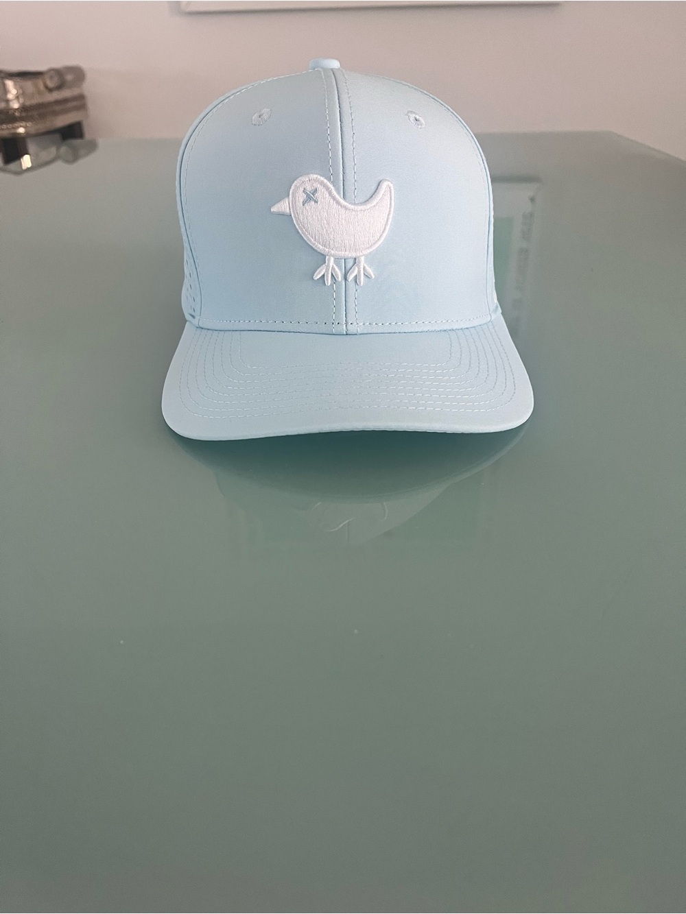 Bad Birdie light blue Golf Cap with White Lining. Never worn !